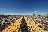 FARWEST 2469 copia